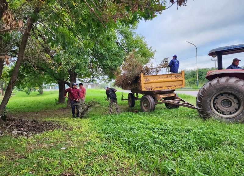 El municipio de Colonia Elisa refuerza trabajos de mantenimiento y servicios en los barrios