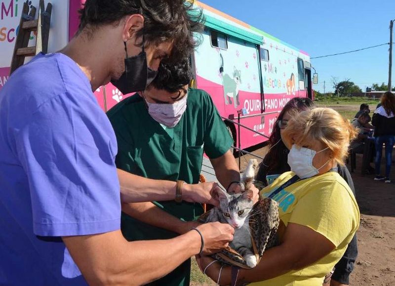 La castración gratuita de Resistencia llega al barrio Don Bosco