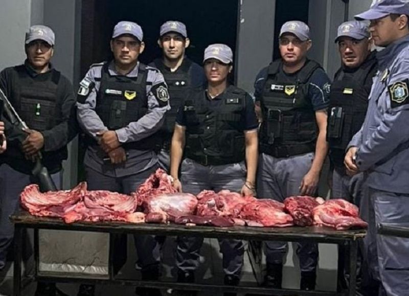 Colonias Unidas: incautaron gran cantidad de carne faenada ilegalmente