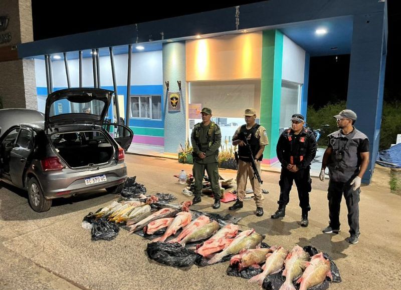 Incautaron más de 130 kilos de pescado transportado ilegalmente en el Puente General Belgrano