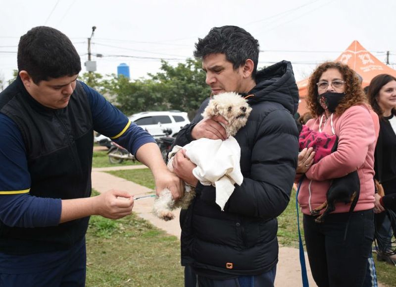 "Mi Mascota" continúa la recorrida por barrios de Resistencia, incentivando la tenencia responsable
