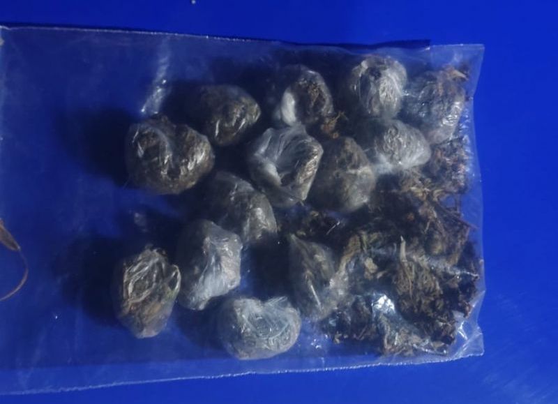 Demoraron a dos jóvenes con marihuana durante un control en General San Martín