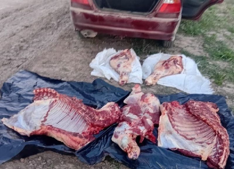 Detuvieron al peón de un campo por faenar un animal ilegalmente