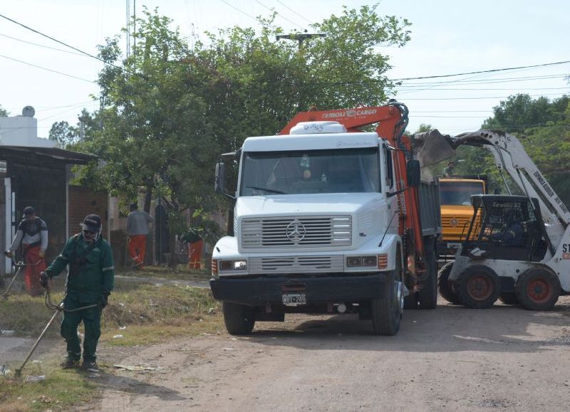 Resistencia: se realizó un nuevo saneamiento ambiental con desmalezado y limpieza