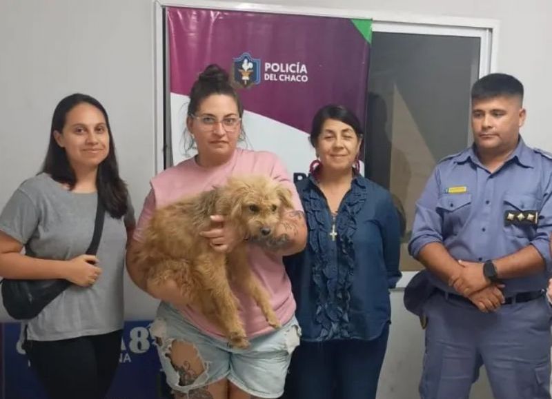 Rescataron a un perro por un caso de maltrato animal en Resistencia