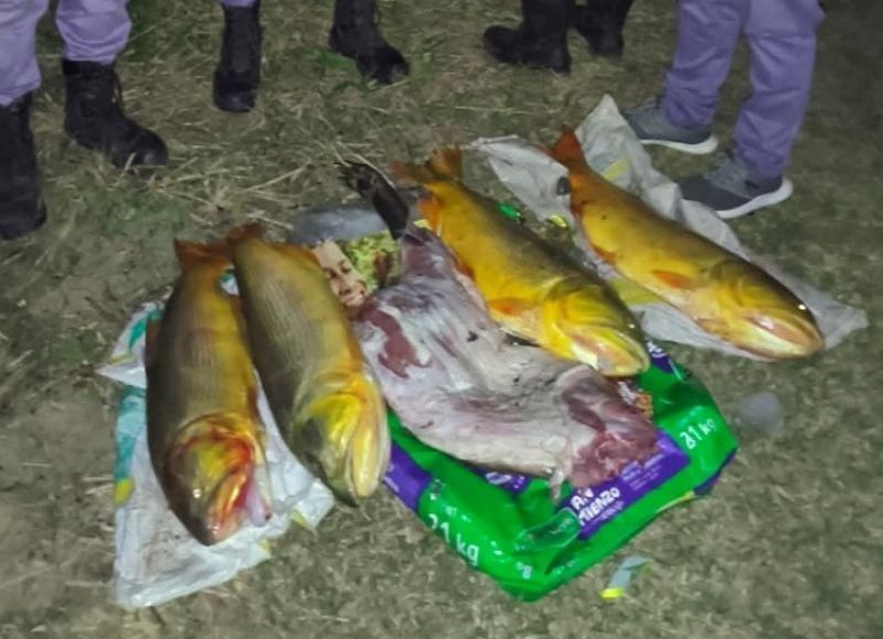 Demoraron a un hombre con pescados y un carpincho faenado en Puerto Vilelas