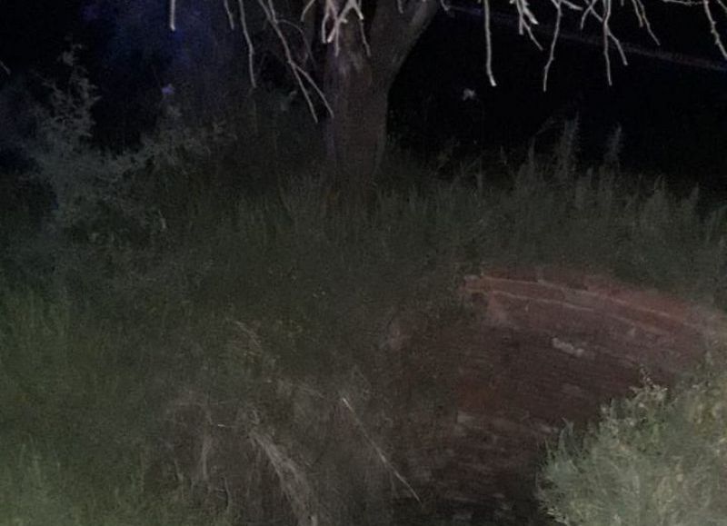 Encontró a su hermano muerto en un pozo