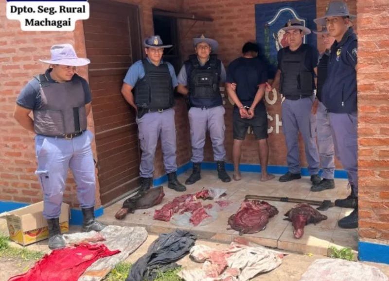 Detuvieron a un joven acusado de faenar un caballo enfermo en Machagai