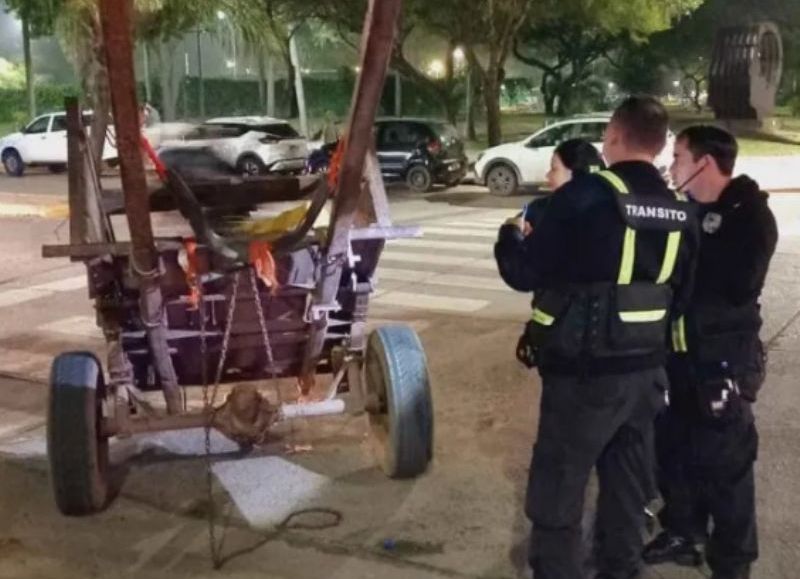 Resistencia: secuestraron dos caballos que tiraban carros, en mal estado