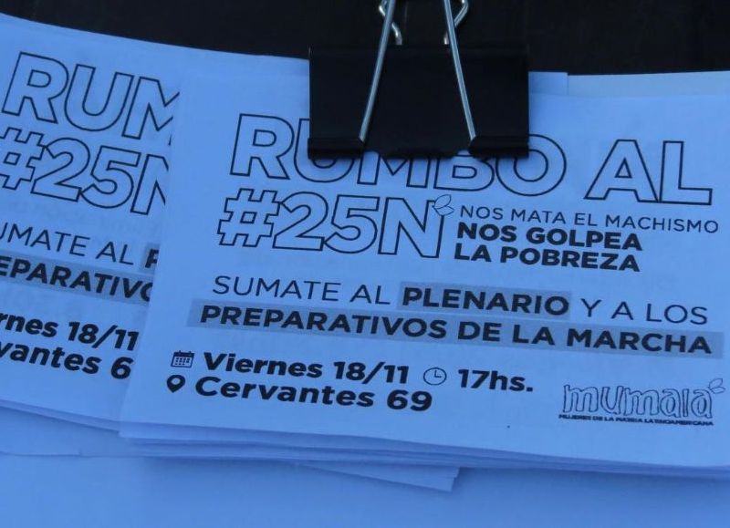 Hasta el 19 de noviembre se perpetraron 208 femicidios femicidios