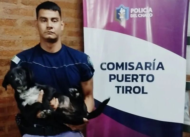 Rescataron a "Black", un cachorro que era víctima de maltrato animal en Puerto Tirol