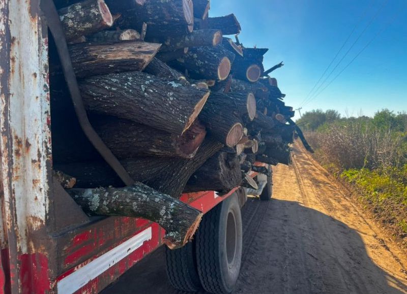 Secuestraron 11 toneladas de madera transportada sin documentación en Tres Isletas