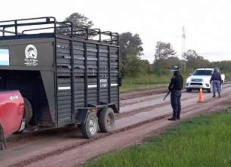 Exitosos operativos contra el abigeato y el desmonte en Plaza y Machagai
