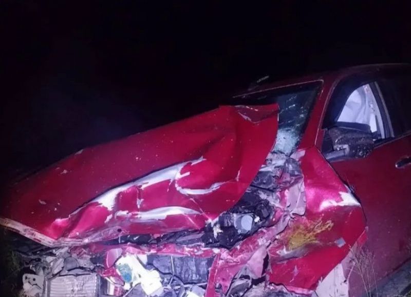 Una camioneta chocó contra dos caballos sueltos en Sáenz Peña