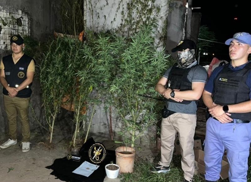 Un menor fue detenido con un arma y plantas de marihuana en Avia Terai