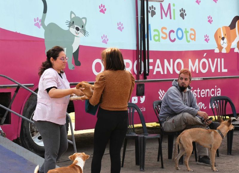 La castración gratuita de mascotas se traslada al barrio Raota de Resistencia