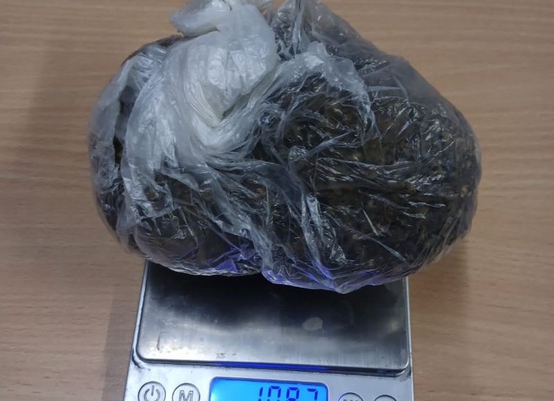 “Sacha” halló marihuana en un control de transporte de pasajeros en Sáenz Peña