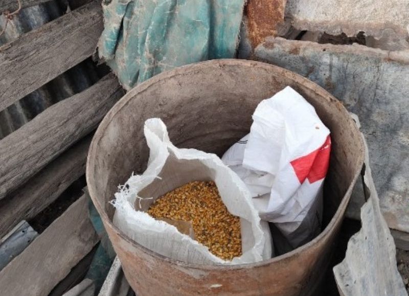 Recuperaron cereales robados de una estancia en Enrique Urien