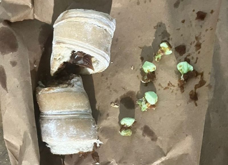 Un joven intentó pasar facturas con cocaína a un detenido en Resistencia, pero lo descubrieron