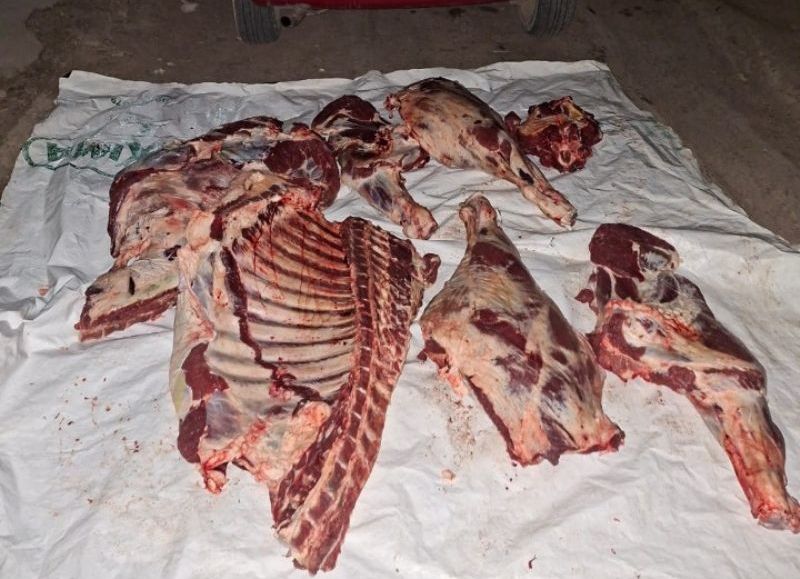 Detuvieron a dos cuatreros e incautaron carne no apta para consumo humano en Samuhú