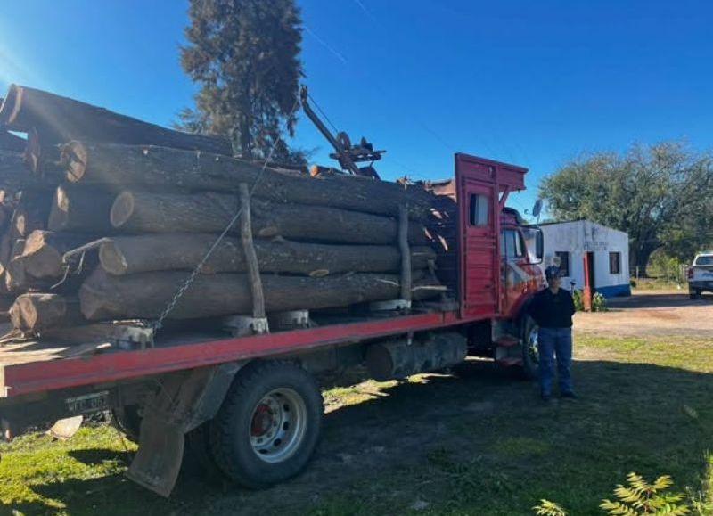 Secuestraron un camión cargado con 7 mil kilos de algarrobo en Tres Isletas