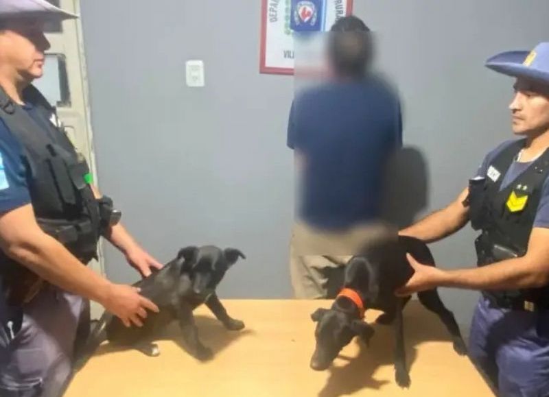 Detuvieron a un hombre por presunto maltrato animal en Villa Ángela