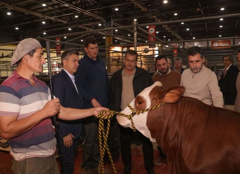La provincia muestra su crecimiento en la Expo Rural de Palermo