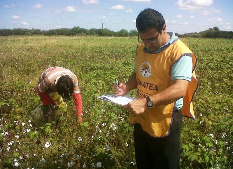 El productor Ricardo Panzardi explota niños y adultos laboralmente
