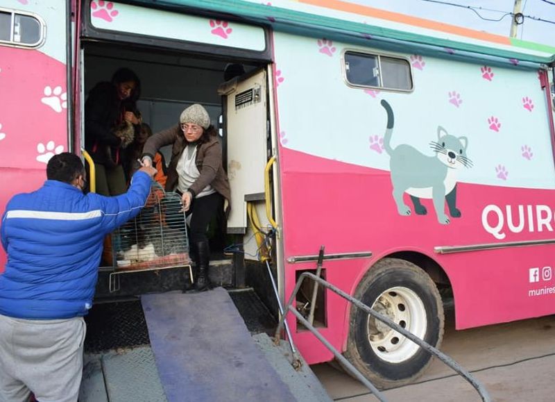 Castración gratuita de mascotas en el barrio 400 Viviendas Soesgype de Resistencia