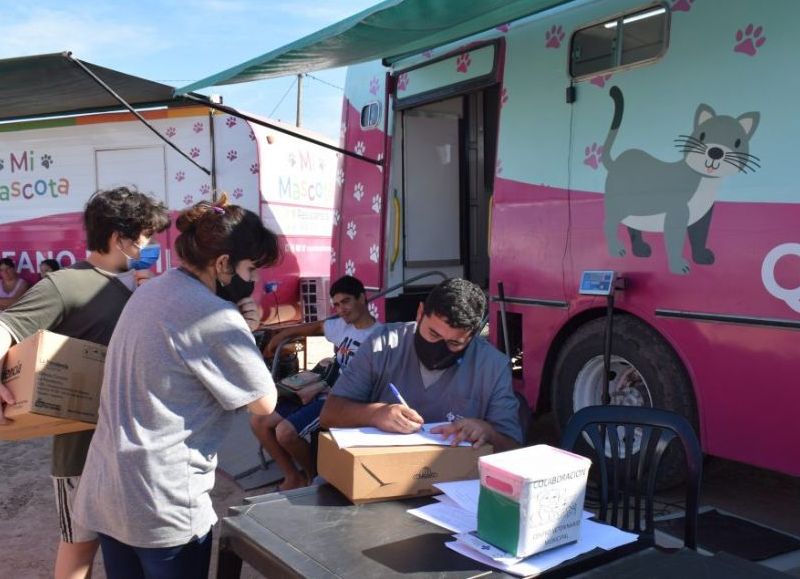 Este jueves, última jornada de castración en Villa San Martín de Resistencia