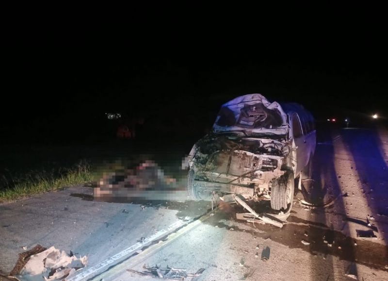 Una camioneta impactó contra un caballo suelto en Colonias Unidas