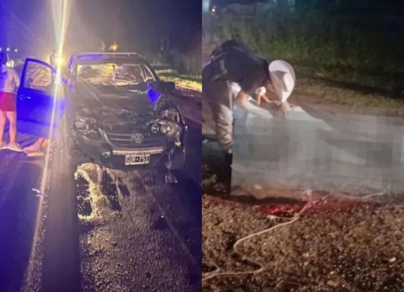 Un automóvil chocó contra un caballo suelto en Machagai