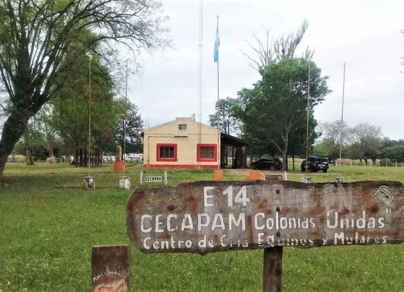 Resultado de los allanamientos en Gendarmería Las Palmas