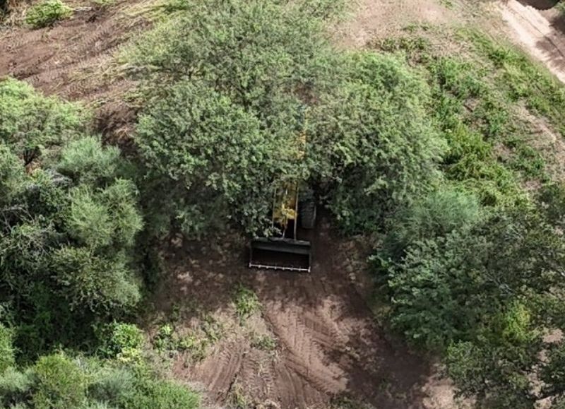 Frenaron un desmonte ilegal en el Departamento 12 de Octubre