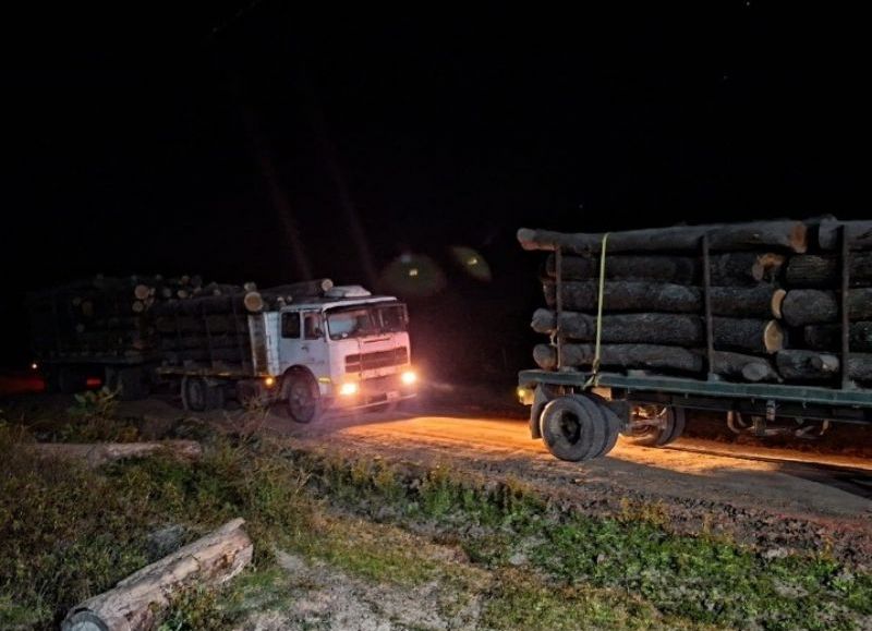 Secuestraron dos camiones con más de 60 toneladas de madera en Charadai