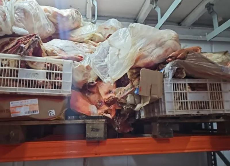 Secuestraron más de 700 kilos de carne en mal estado en cinco carnicerías de Fontana