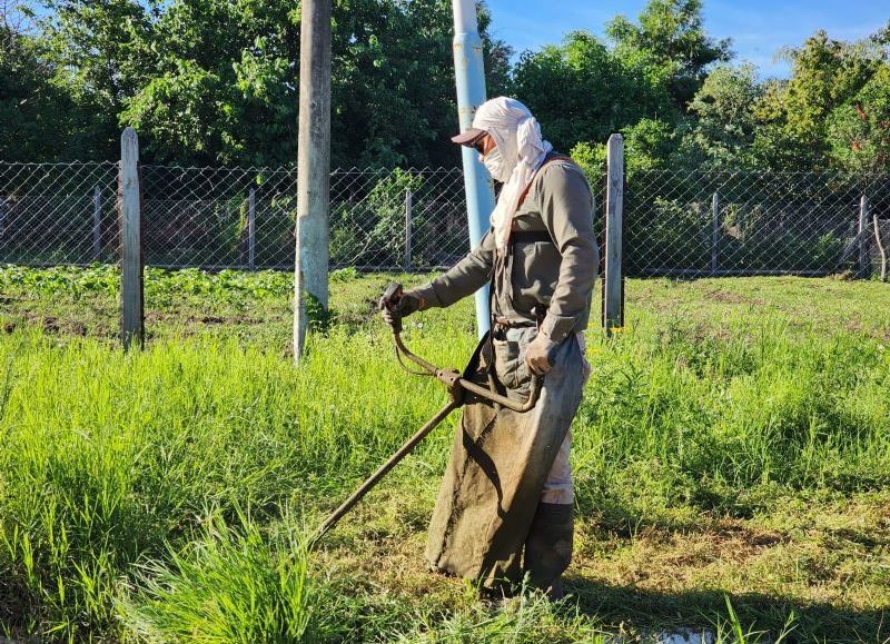 El Municipio de Colonia Elisa refuerza operativos para mantener la ciudad limpia y ordenada