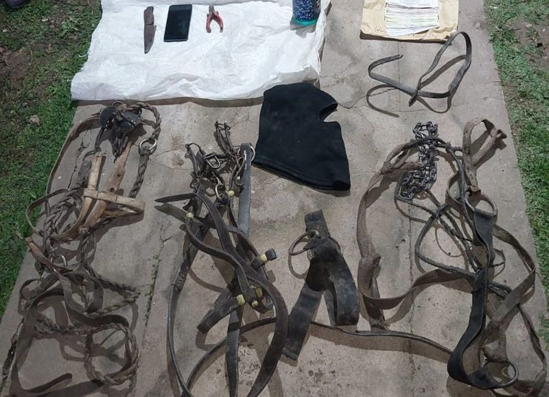 Detuvieron a dos jóvenes por el presunto traslado ilegal de caballos en La Leonesa