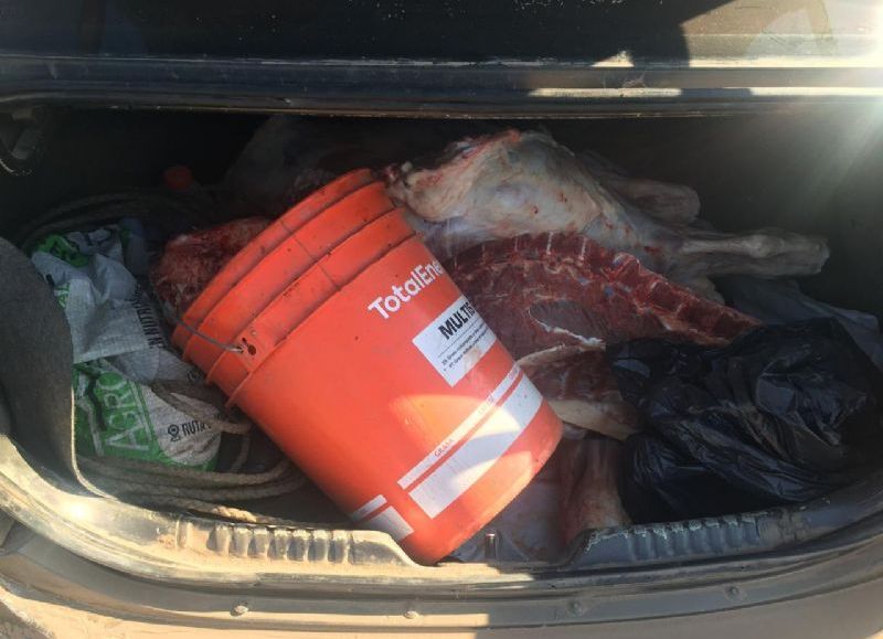 Secuestran más de 150 kilos de carne en General San Martín