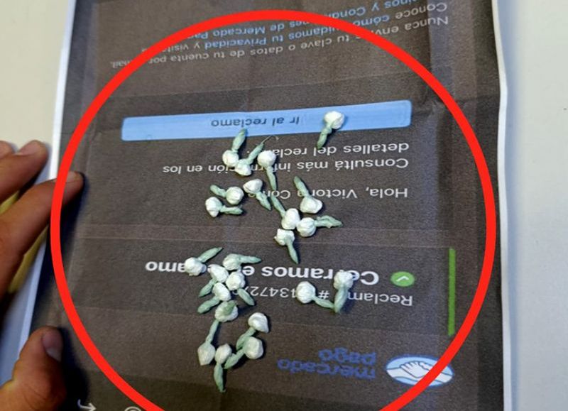 Hallaron cocaína en comida navideña de detenidos en una comisaría de Sáenz Peña