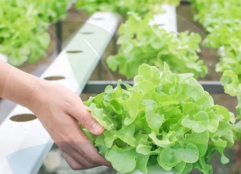 Universidad de oficios en Barranqueras: inscriben para una gran variedad de cursos