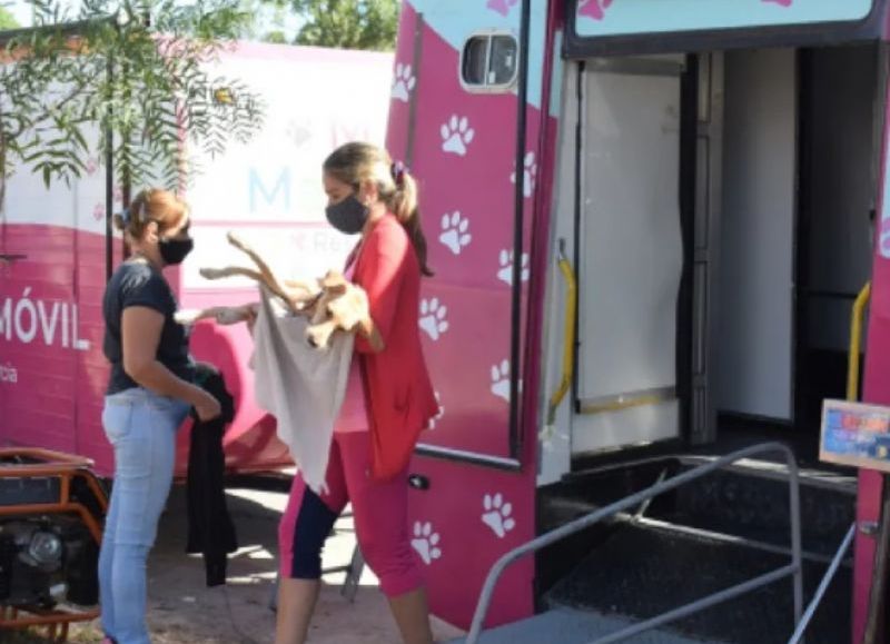 La castración gratuita de mascotas llega este jueves al barrio Santa Clara de Resistencia